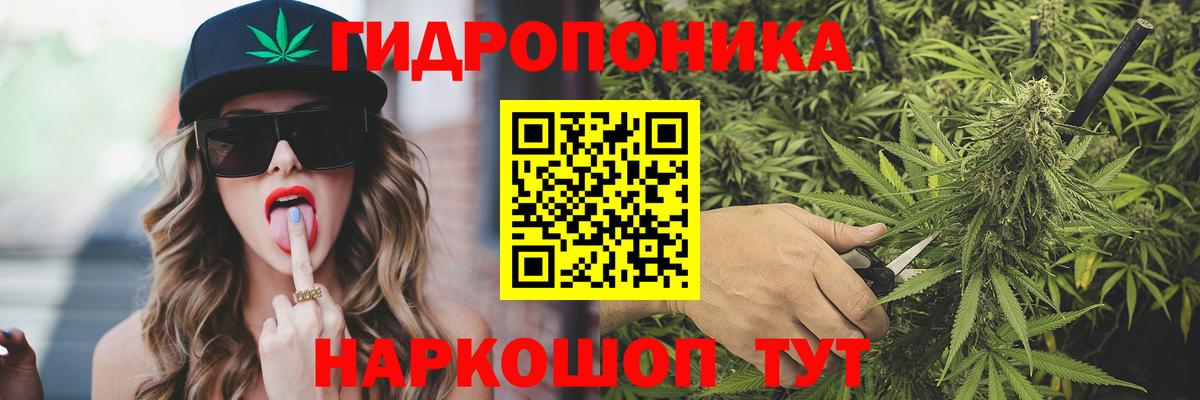 Марихуана OG Kush  Каннабис Ganja  Гатчина  Вход с VPN  Бошки марихуана Ganja 